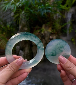 家里阳光不足怎么养花，选对植物种类，掌握养护技巧