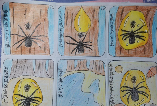 家里阳光不足怎么养花，选对植物种类，掌握养护技巧