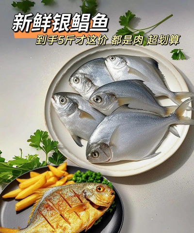 家里阳光不足怎么养花，选对植物种类，掌握养护技巧