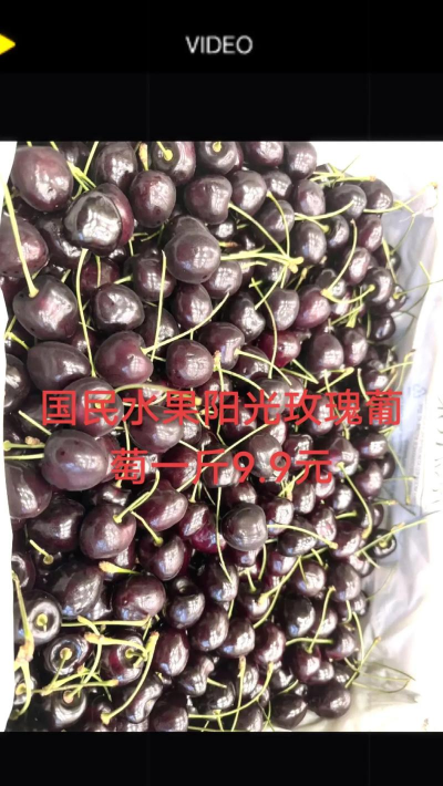 家里阳光不足怎么养花，选对植物种类，掌握养护技巧