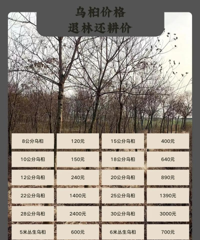 家里阳光不足怎么养花，选对植物种类，掌握养护技巧