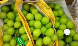 家里阳光不足怎么养花，选对植物种类，掌握养护技巧