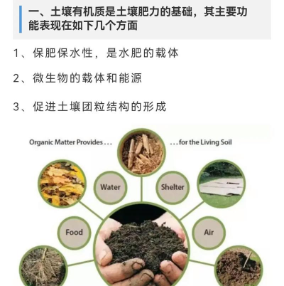 家里阳光不足怎么养花，选对植物种类，掌握养护技巧