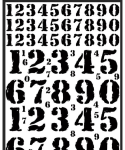 家里阳光不足怎么养花，选对植物种类，掌握养护技巧