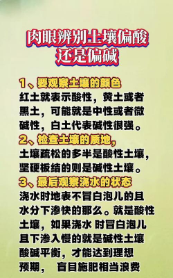 家里阳光不足怎么养花，选对植物种类，掌握养护技巧