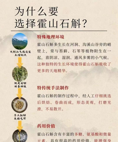 家里阳光不足怎么养花，选对植物种类，掌握养护技巧