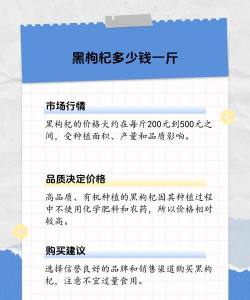 家里阳光不足怎么养花，选对植物种类，掌握养护技巧