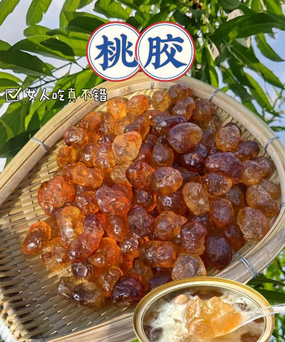 家里阳光不足怎么养花，选对植物种类，掌握养护技巧