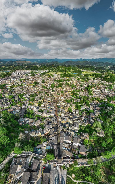 家里阳光不足怎么养花，选对植物种类，掌握养护技巧