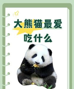 家里阳光不足怎么养花，选对植物种类，掌握养护技巧