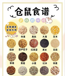 家里阳光不足怎么养花，选对植物种类，掌握养护技巧