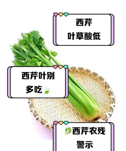 家里阳光不足怎么养花，选对植物种类，掌握养护技巧