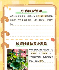 家里阳光不足怎么养花，选对植物种类，掌握养护技巧