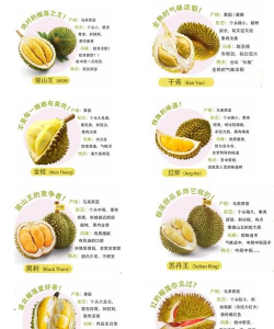 家里阳光不足怎么养花，选对植物种类，掌握养护技巧