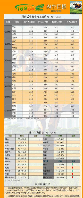 家里阳光不足怎么养花，选对植物种类，掌握养护技巧