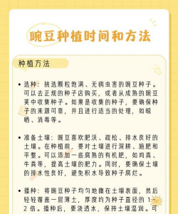 家里阳光不足怎么养花，选对植物种类，掌握养护技巧