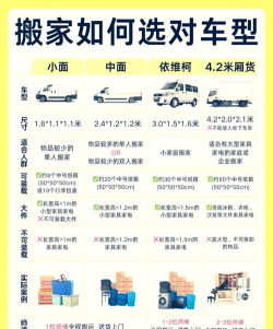 家里阳光不足怎么养花，选对植物种类，掌握养护技巧