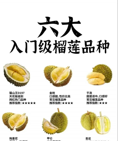 家里阳光不足怎么养花，选对植物种类，掌握养护技巧