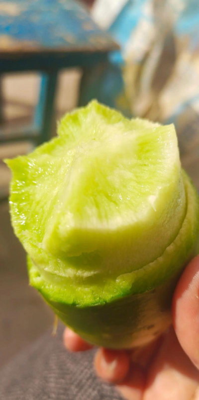 家里阳光不足怎么养花，选对植物种类，掌握养护技巧