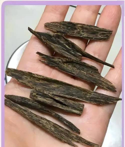 家里阳光不足怎么养花，选对植物种类，掌握养护技巧