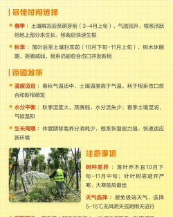 家里阳光不足怎么养花，选对植物种类，掌握养护技巧