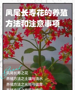 家里阳光不足怎么养花，选对植物种类，掌握养护技巧