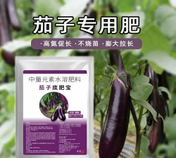 家里阳光不足怎么养花，选对植物种类，掌握养护技巧