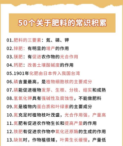 家里阳光不足怎么养花，选对植物种类，掌握养护技巧