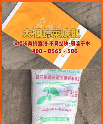 家里阳光不足怎么养花，选对植物种类，掌握养护技巧