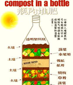 家里阳光不足怎么养花，选对植物种类，掌握养护技巧