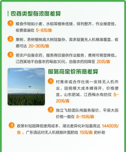 家里阳光不足怎么养花，选对植物种类，掌握养护技巧