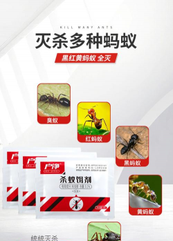 家里阳光不足怎么养花，选对植物种类，掌握养护技巧