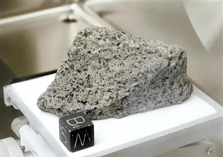 家里阳光不足怎么养花，选对植物种类，掌握养护技巧