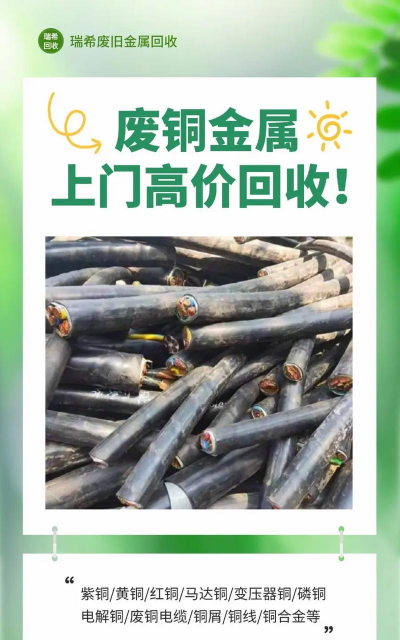 家里阳光不足怎么养花，选对植物种类，掌握养护技巧