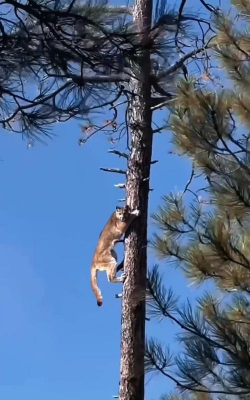 家里阳光不足怎么养花，选对植物种类，掌握养护技巧