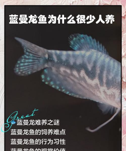 家里阳光不足怎么养花，选对植物种类，掌握养护技巧