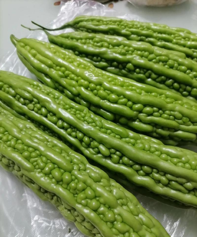 家里阳光不足怎么养花，选对植物种类，掌握养护技巧