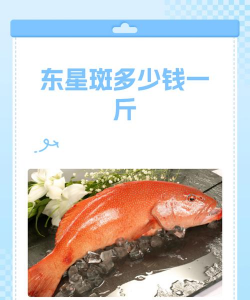 家里阳光不足怎么养花，选对植物种类，掌握养护技巧