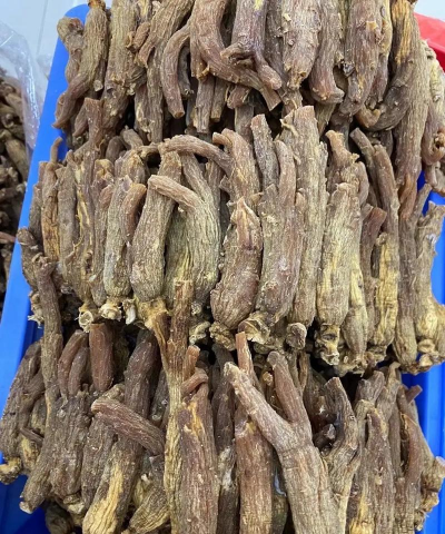 家里阳光不足怎么养花，选对植物种类，掌握养护技巧