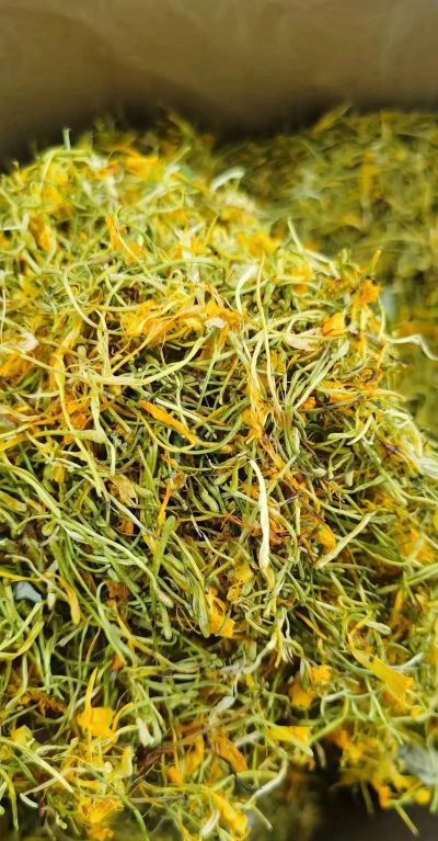 家里阳光不足怎么养花，选对植物种类，掌握养护技巧