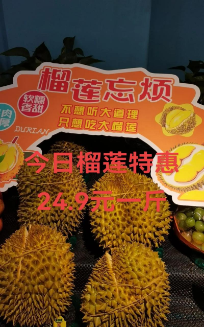 家里阳光不足怎么养花，选对植物种类，掌握养护技巧