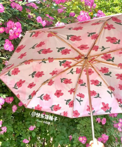 家里阳光不足怎么养花，选对植物种类，掌握养护技巧