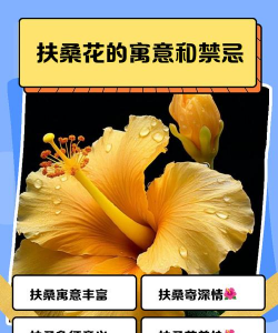 家里阳光不足怎么养花，选对植物种类，掌握养护技巧