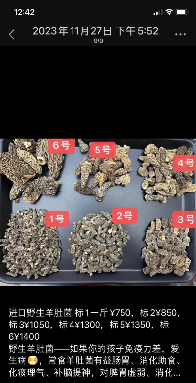 家里阳光不足怎么养花，选对植物种类，掌握养护技巧