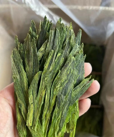 家里阳光不足怎么养花，选对植物种类，掌握养护技巧