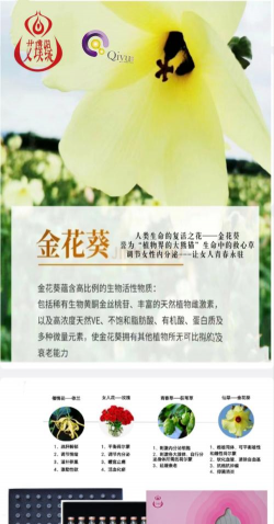 家里阳光不足怎么养花，选对植物种类，掌握养护技巧