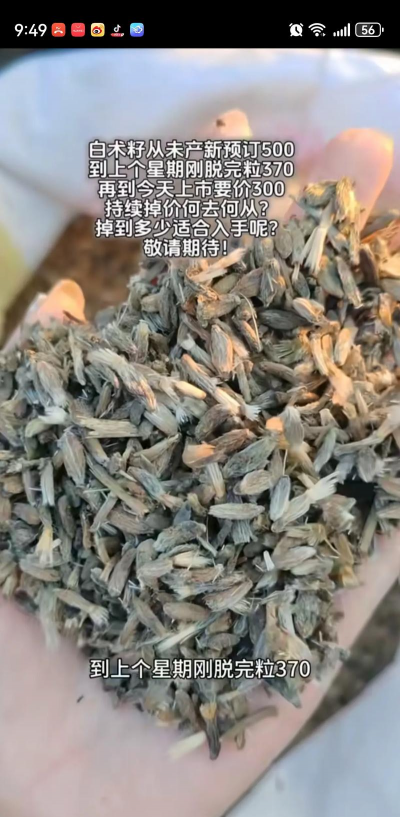 家里阳光不足怎么养花，选对植物种类，掌握养护技巧