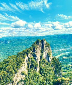 家里阳光不足怎么养花，选对植物种类，掌握养护技巧