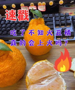 丑橘到底上火不上