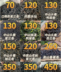 家里阳光不足怎么养花，选对植物种类，掌握养护技巧